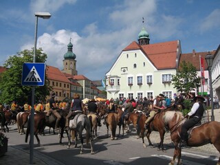 Apartamento de vacaciones Waldmünchen Entorno 36