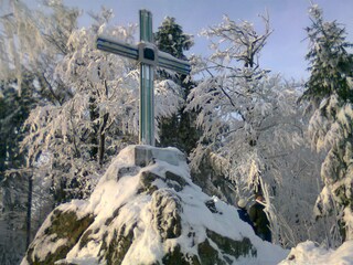 Appartement de vacances Waldmünchen Environnement 40