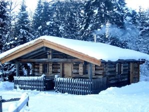 Alpine hut Fisherman's cabin - Hüttau - image1