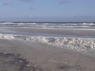 Appartamento per vacanze Borkum Ambiente 16