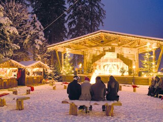 Appartamento per vacanze Mayrhofen Ambiente 17