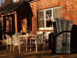 Hohenhenne Austernfischer