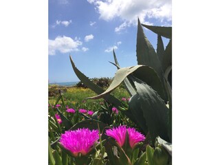 Appartamento per vacanze Selinunte Ambiente 11