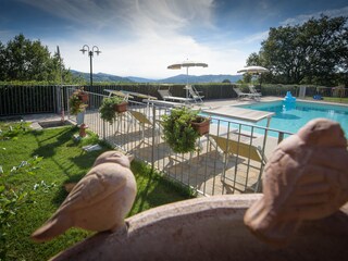 The fenced pool