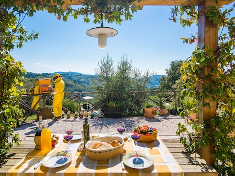 Holiday house from natural stone with pool in beautiful surroundings - 442 ASS