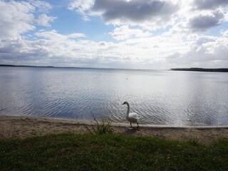 Casa per le vacanze Lacanau Ambiente 22