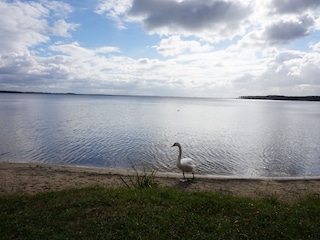 Lac de Lacanau in the Marina de Talaris