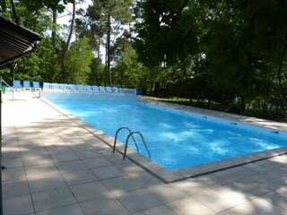 Shared pool at the restaurant