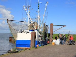 Maison de vacances Dangast Environnement 25