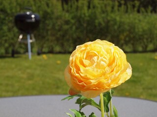 Casa per le vacanze Carolinensiel Registrazione all'aperto 3