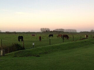 Casa per le vacanze Harlesiel Ambiente 19