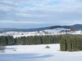 Winter im Bavaria Forest