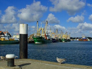 Der herrliche Hafen der Insel Texel