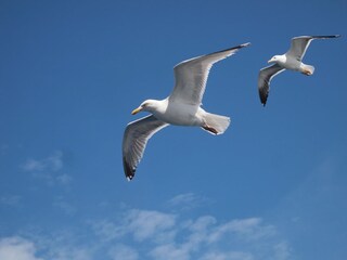 Casa per le vacanze Texel Ambiente 23