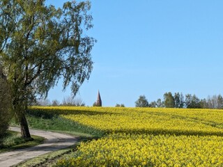 Vakantiehuis Putbus Omgeving 38
