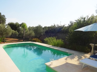 Very private: The garden is surrounded by a wall