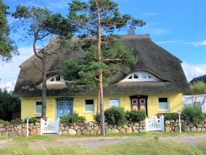 Ferienhaus Strandvilla "Meerlust" - Dierhagen - image1