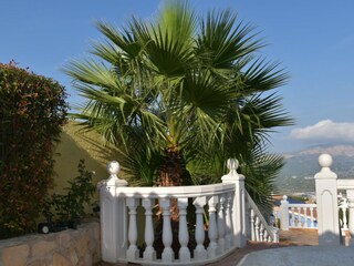 Villa Pedreguer Outdoor Recording 18