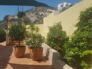 Villa Pedreguer Grabación al aire libre 5