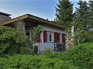 Vrijstaand vakantiehuis in Harz met open haard en houtkachel - Güntersberge - image1