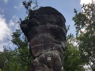 Holiday house Wieda Environment 36