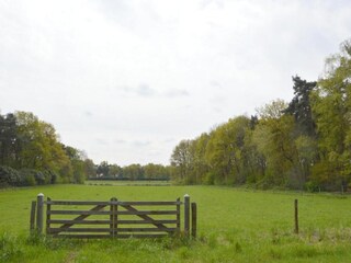 Vakantiehuis Stramproy Omgeving 29