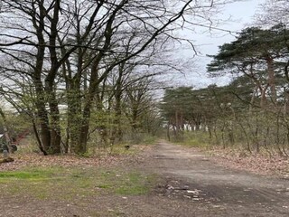 Vakantiehuis Stramproy Omgeving 21