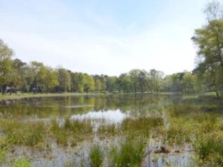 Vakantiehuis Stramproy Omgeving 18