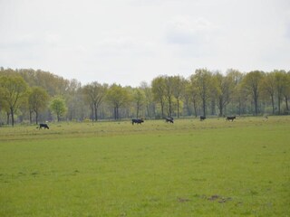 Vakantiehuis Stramproy Omgeving 25