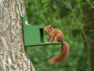 Casa per le vacanze Stramproy Ambiente 19