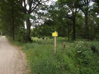 Vakantiehuis Stramproy Omgeving 22