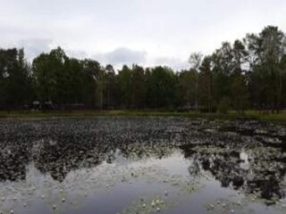 Vakantiehuis Stramproy Omgeving 31