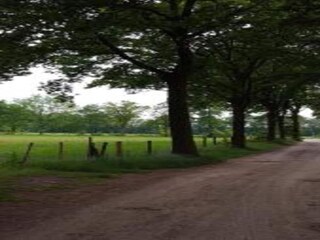 Vakantiehuis Stramproy Omgeving 22