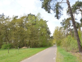 Ferienhaus Stramproy Umgebung 31