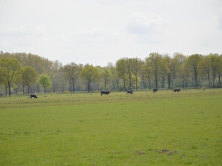 Ferienhaus Stramproy Umgebung 32