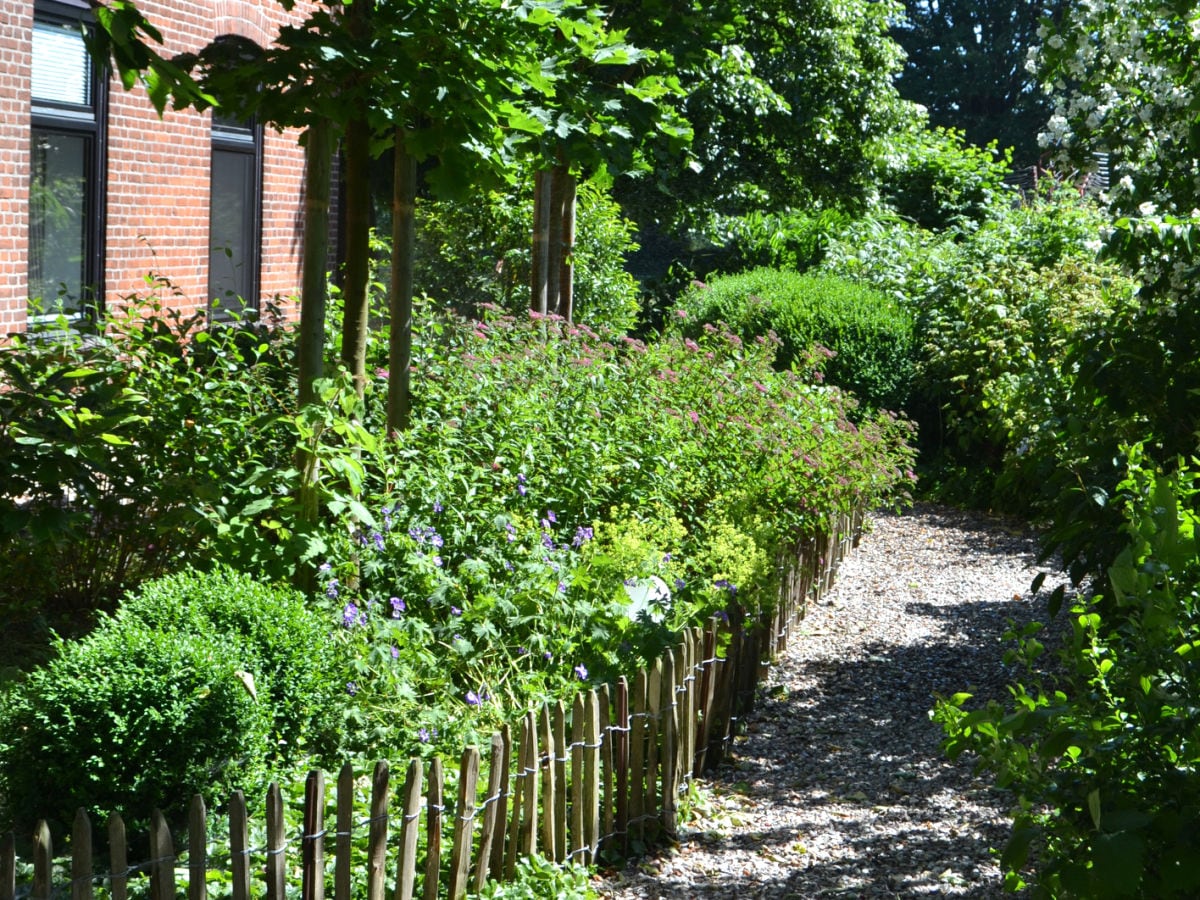 Impressionen des Gartens