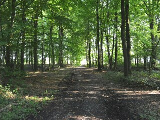 Chalet Gesves Environnement 22