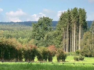 Chalet Gesves Environment 24