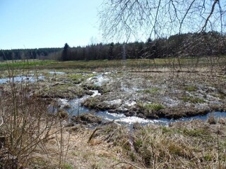 Chalet Gesves Environment 25