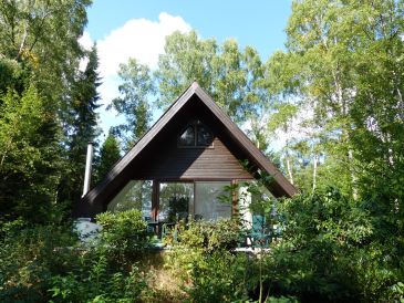 Ferienhaus Waldhaus Heidetraum