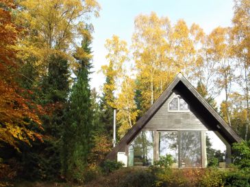 Ferienhaus Waldhaus Heidetraum