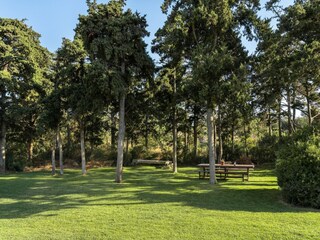 Villa Prines Environnement 36