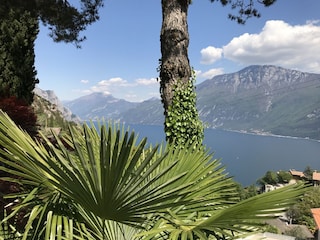 Blick von der unteren Terrasse