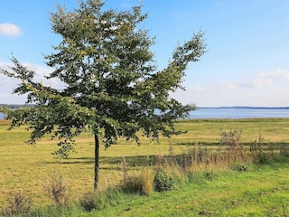 Holiday house Ørslevkloster  6
