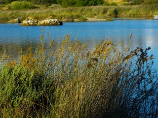 Casa per le vacanze Saint-Pierre-la-Mer Ambiente 34