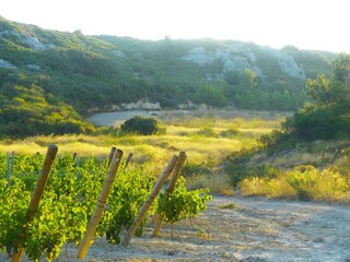 Casa per le vacanze Saint-Pierre-la-Mer Ambiente 37