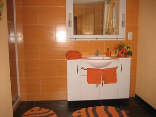 Holiday apartment Seifhennersdorf Features 24