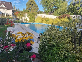 Blick auf den Pool