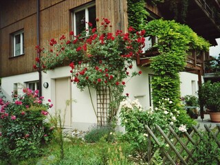 Appartement Goldswil Environnement 4