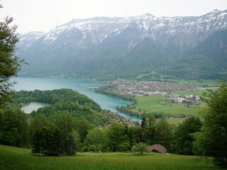 Sicht auf Brienzersee und Goldswil